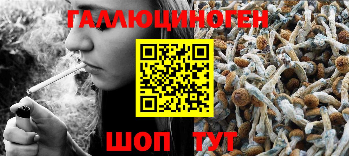 Славгород  Галлюциногенные грибы MAGIC MUSHROOMS  Вход с VPN 